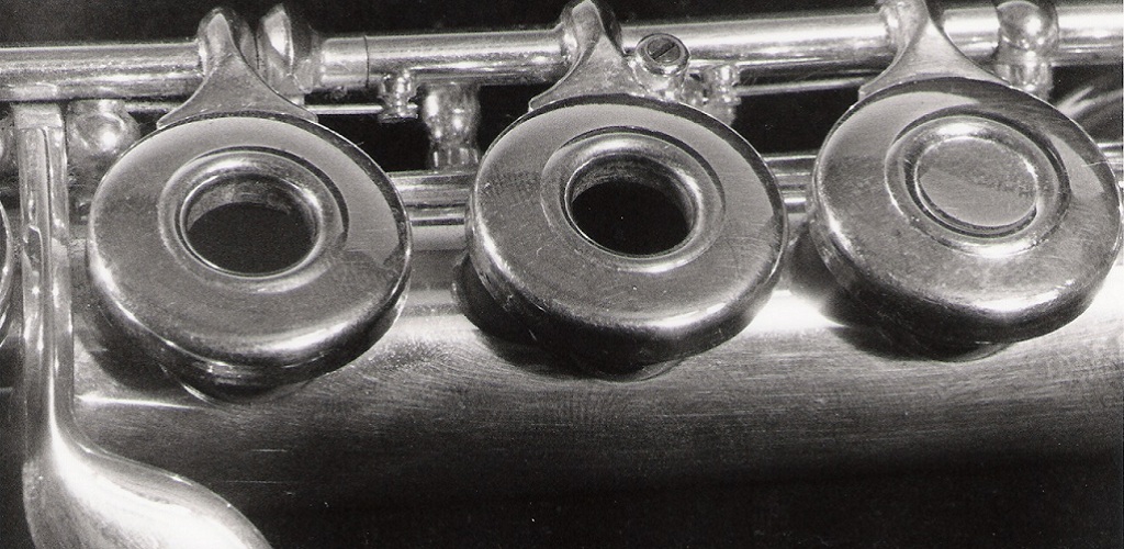 Flute Lessons For Beginners