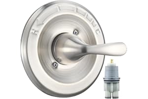 RJDIBAN Replacement for Delta Classic 13 Series Single-Function Trim Kit, T13020-SS Stainless Steel Shower Handle, Fit Delta Shower Valve R10000 Series (Cartridge Included)