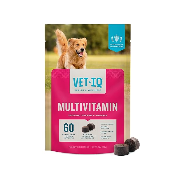 VETIQ MULTIVITAMIN SUPPLEMENT FOR DOGS, SUPPORTS ACTIVE BRAIN...
