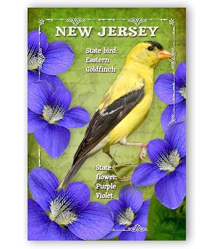 NEW JERSEY STATE FACTS Postcard Set Of 20 Identical...