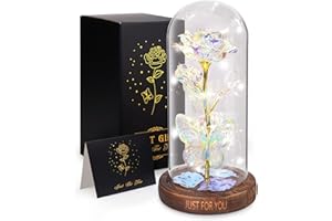 WOKEISE Light Up Rose Butterfly in Glass Dome, Birthday Gifts for Women, Anniversary Flower Lighted Roses Gifts for Wife,Mom, Grandma,Girlfriend,Girls,Sister,Christmas, Silver