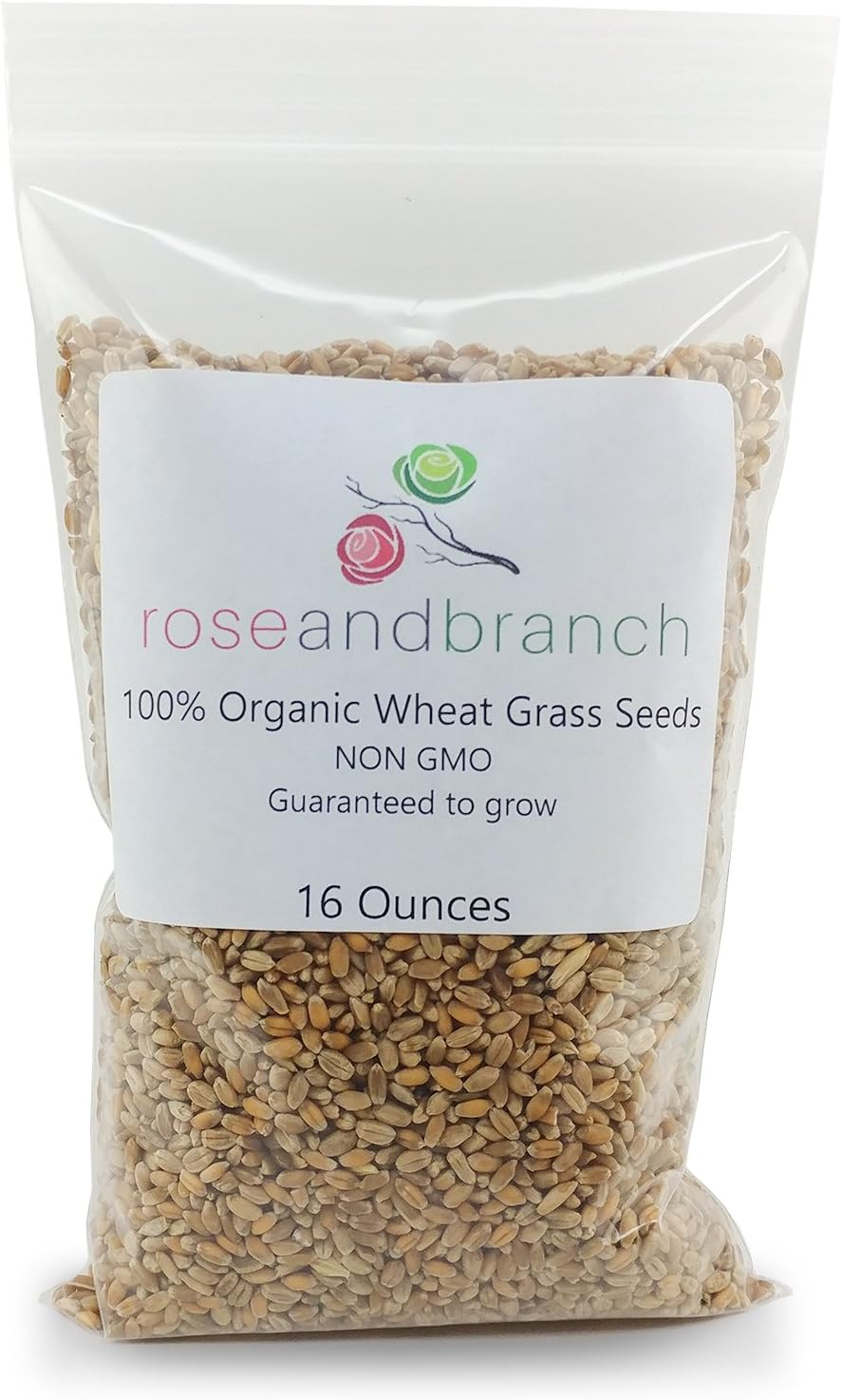 Organic Wheat Grass Seeds, Cat Grass Seeds, 16 Ounces- 100% Organic Non GMO - Hard Red Wheat. Harvested in The US. Easy to Grow. : Garden & Outdoor
