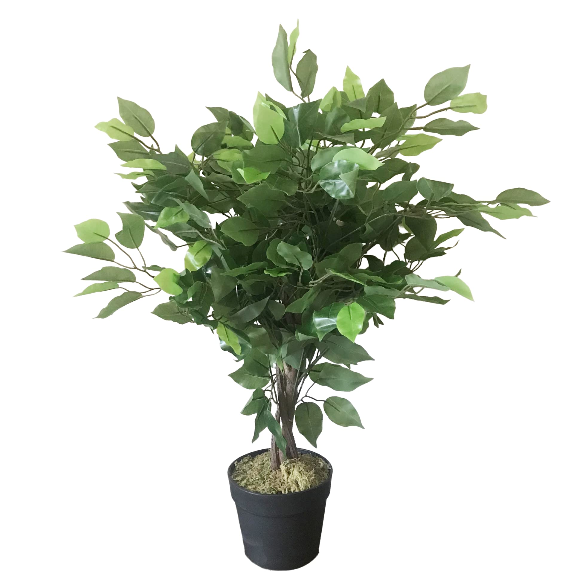 Leaf Artificial Ficus Tree/Plant, 60cm