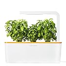 Click & Grow smartes Kräutergarten-Set mit 3 Basilikum Kassetten, orange beleuchtet