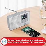 LEMEGA IR1 Internet Radio DAB Portable Bluetooth 60 Presets Grey view 2