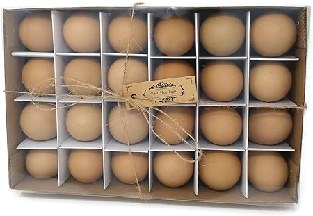 24 Blown Real Hen Eggs Ready For Easter Craft Decoration Amazon