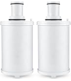 Amazon.com: 100186 Water Filter Replacement Compatible with Amway