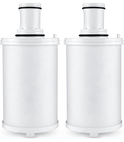 Amazon.com: 100186 Water Filter Replacement Compatible with Amway