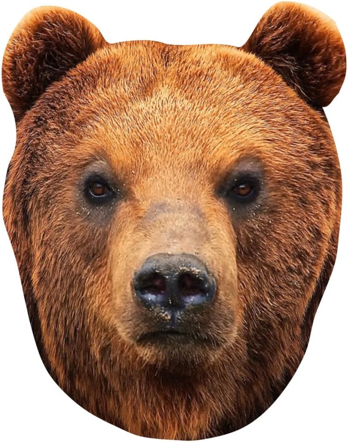 Bear Mask (Cardboard Mask)
