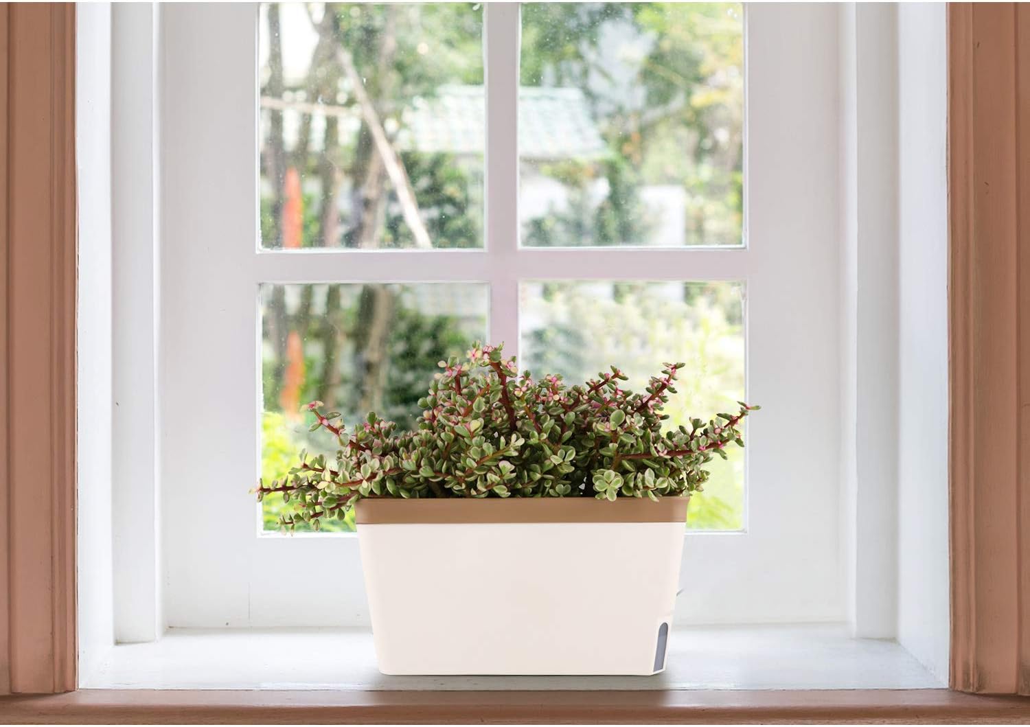 T4U Self Watering Planter Pot Rectangle 27CM Set of 3 - Image 4
