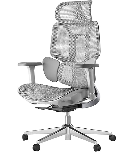 thumbnail image 2 of Chirvana Ergonomic Office Chair With Adjustable 3D Lumbar 2 of 10