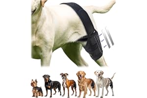 BIXIE Dog Knee Brace for Torn ACL Hind Leg, & Rear Leg Knee Support (Left & Right) – for Small & Large Dogs - Medium