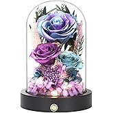 Pinnetetti Birthday Gifts for Women Purple Preserved Flowers in Glass Dome Forever Flowers for Delivery Prime, Colorful Forever Roses Anniversary Mothers Day Valentines Day for Her Mom Wife