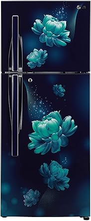 LG 260 L 2 Star Smart Inverter Frost-Free Double Door Refrigerator (GL-T292RBCY, Blue Charm, Convertible)