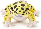 Zappi Co Leopard Gecko Plush 45cm Recycled Eco Friendly Desert Toy view 5