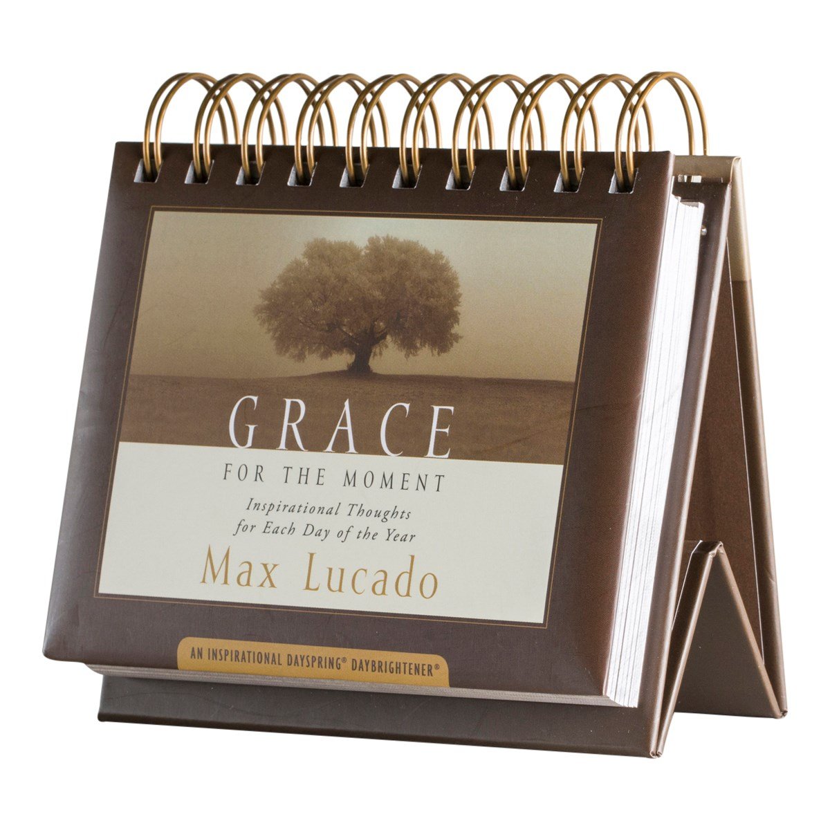 DAYBRIGHTENER: GRACE FOR THE MOMENT Brown