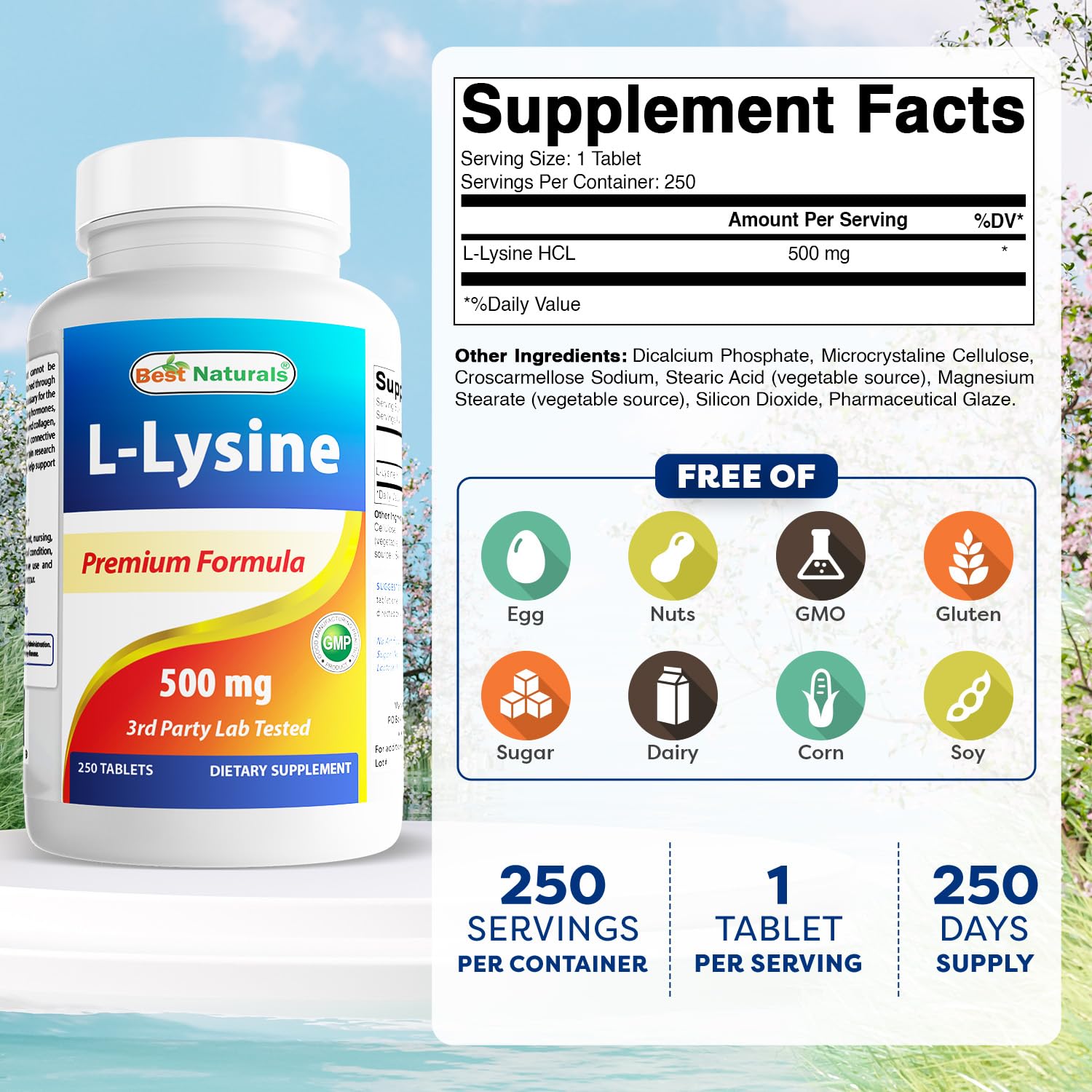 Best Naturals L-Lysine 500 mg 250 Tablets