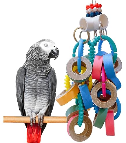 Cardboard Bird Toys 60-Piece Bagel Bird Toys Bulk Pack - Colorful ...