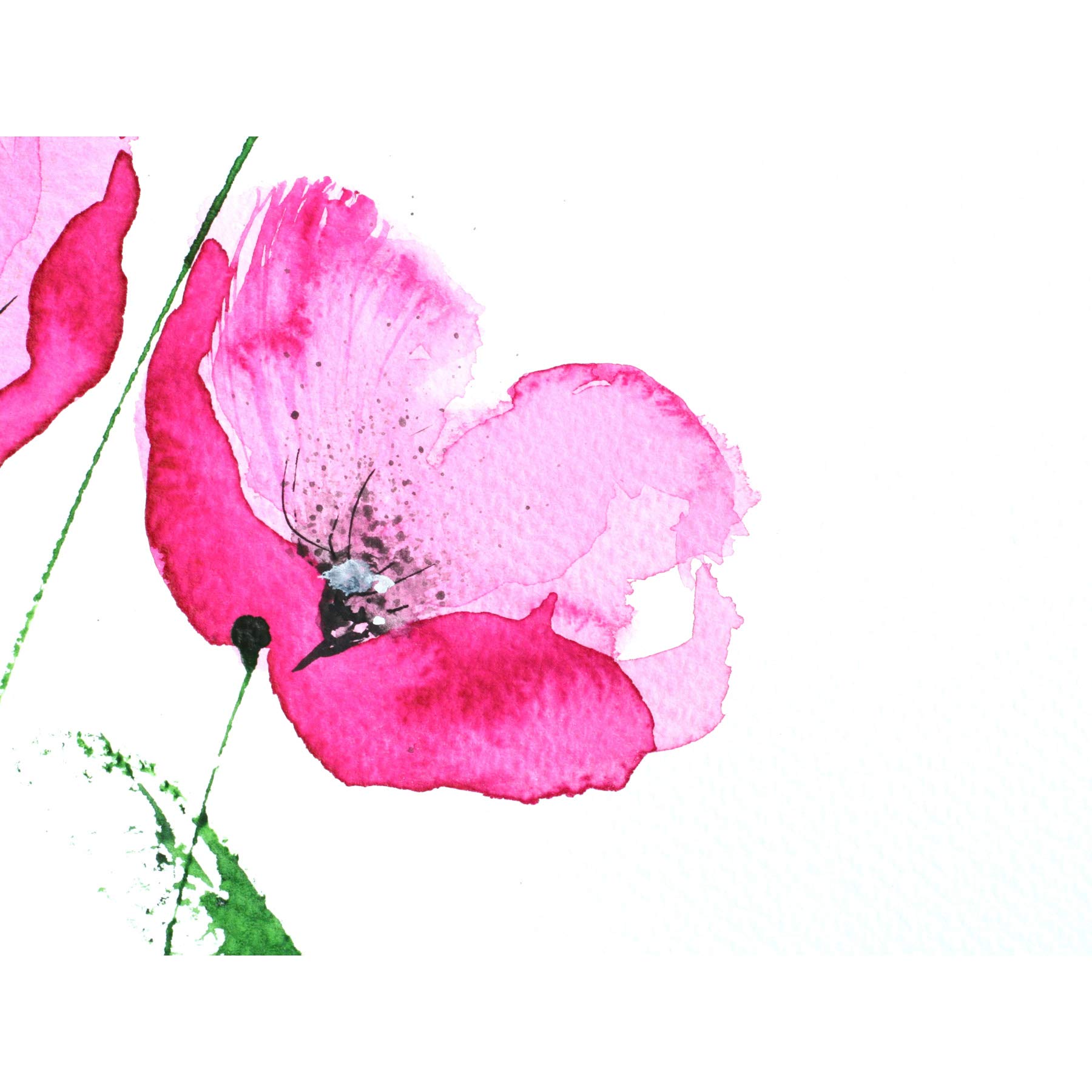 Wee Blue Coo Flower Poppy Watercolour Large Wall Art Print Canvas Premium Poster
