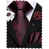 Hi-Tie Mens Silk Ties and Flower Lapel Pin Pocket Square Cufflinks Set 4PCS Necktie for Wedding Business