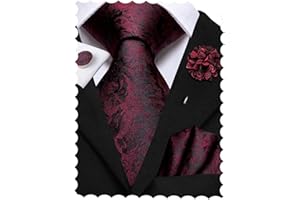 Hi-Tie Mens Silk Ties and Flower Lapel Pin Pocket Square Cufflinks Set 4PCS Necktie for Wedding Business