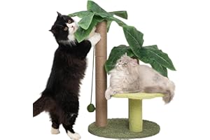 MEOWOOU Cat Scratching Post with Flower Bed Cute Cat Scratcher with Sisal Dangling Ball Small Cat Tree for Indoor Cats Perch Cat Tower for Large Adult Cats and Kittens