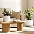 LE TAUCI Ceramic Plant Pots, 8 + 10 Inch Pots for Plants, Indoor Plant Pots for Home and Office, Modern Flower Pots Fit Mid Century Plant Stand, Planters with Drainage Holes and Saucers, White