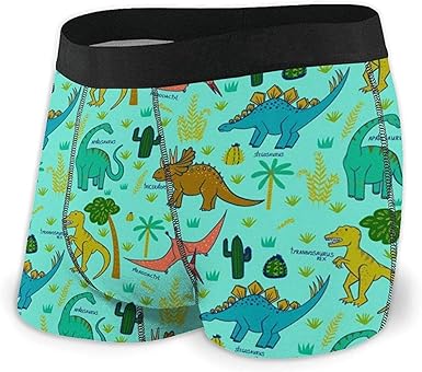 dinosaur boxer briefs