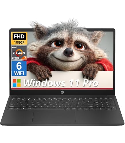 Amazon.com: HP 17.3
