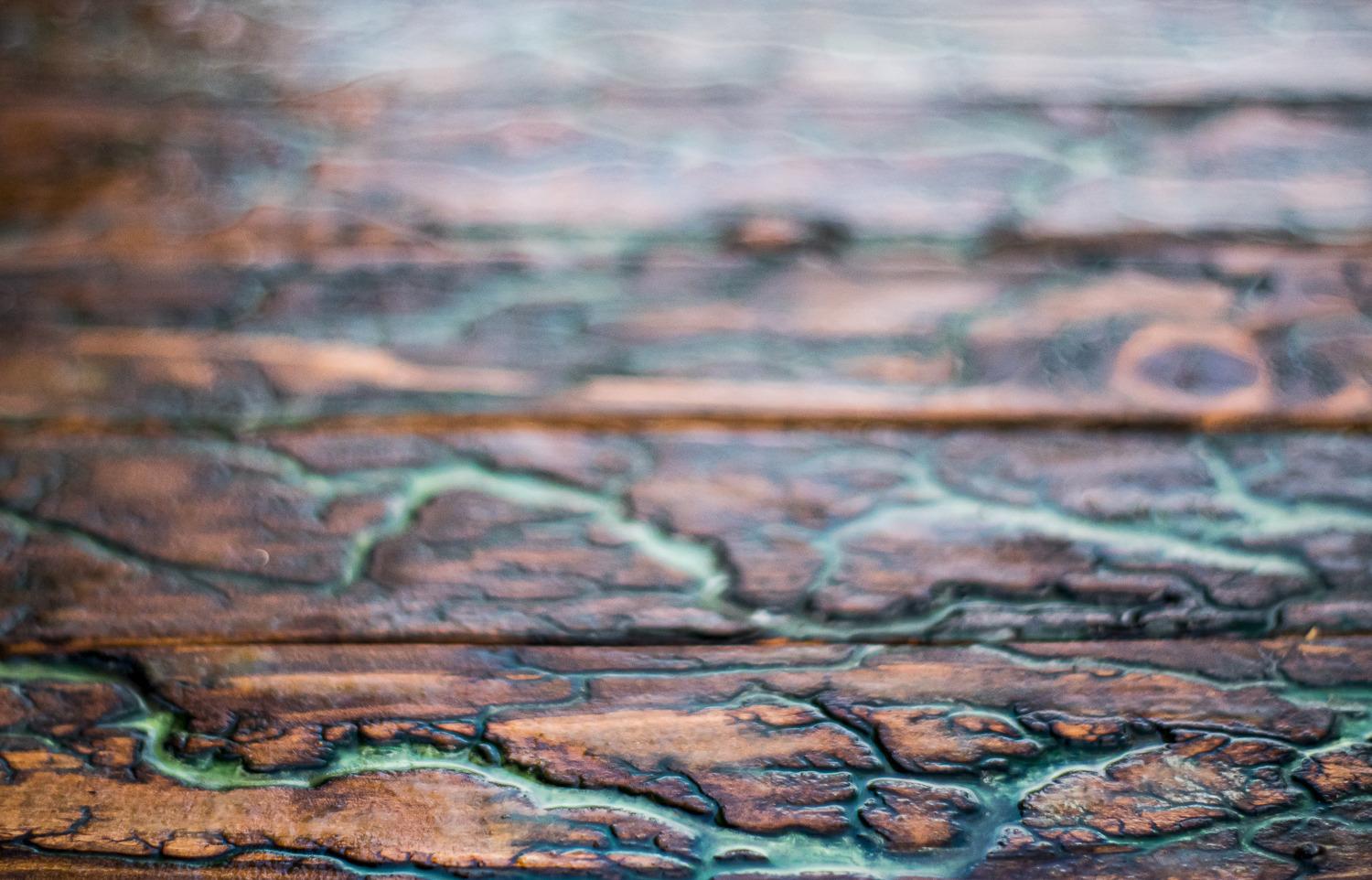 Great Bang for the Buck Prime Lens!