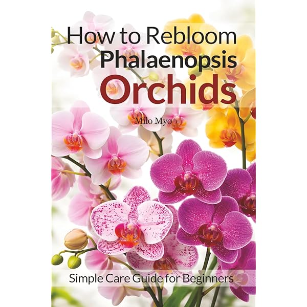 Orchid Species Culture: Dendrobium: Baker, Charles O., Baker