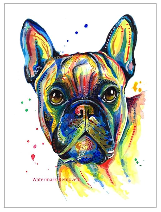 BullDog francés Imán para nevera regalo - toro perro calcetín de ...