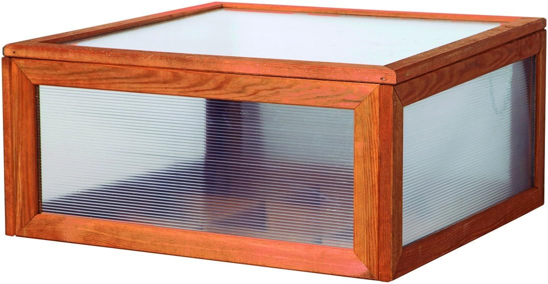 Catral 75010002 - Cajón invernadero para Huerto Seed 120, 40 x 100 ...