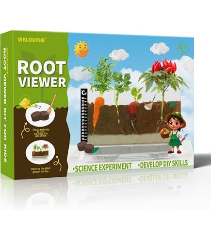 Educational Gardening Toy Root Viewer Kit For Kids - See Plants Grow ...