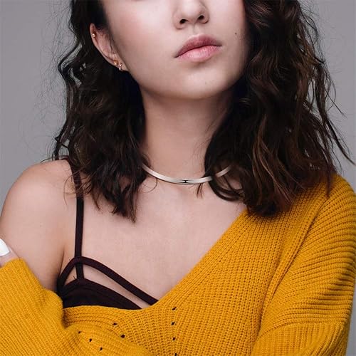 HooAMI Choker Necklace for Women Silver Stainless Steel Simple