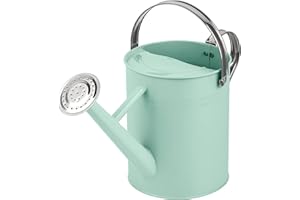 Homarden 1 Gallon Copper Decorative Watering Can - Metal Watering Cans for Indoor and Outdoor House Plants - Removable Spout and Dual Handles - Small Watering Can for Bonsai Plant - 16.1Dx6.2Wx7.9H in
