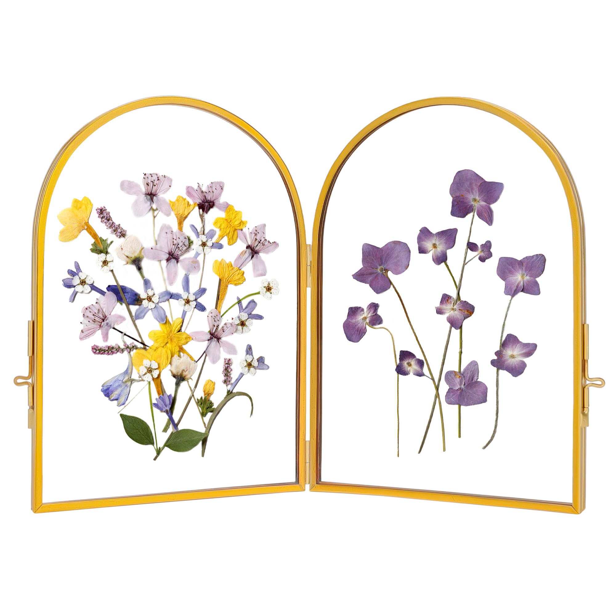 Photo 1 of REDHUGO Double Glass Frame for Pressed Flowers Handmade, Pressed Flower Frame, Hinged Tabletop Brass Photo Frames, Dried Flower Display Folding Picture Frame for Home, ArcShaped, Gold, 5×7 Inches