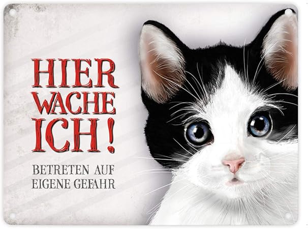 Get Katzen spruch Free HD