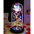Valentines Day Gifts for Her, I Love You Gifts for Her, Birthday Gifts for Women, Galaxy Crystal Colorful Light Up Rose in A Glass Dome,Valentines Roses Flowers Gifts for Mom Wife Girlfriend Presents
