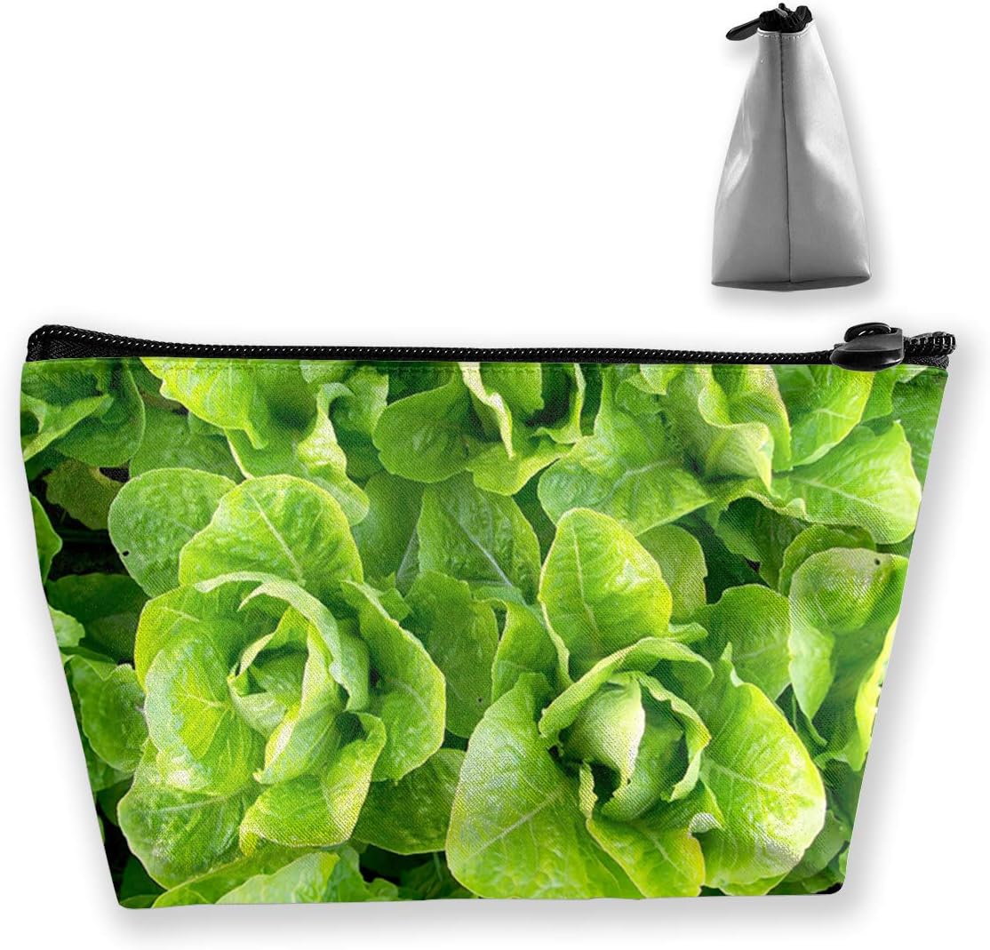 CAClifestyle Fresh Romaine Lettuce Storage Bag Cosmetic