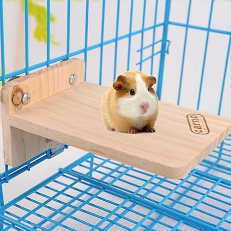 Plate Forme En Bois Pour Cage Pour Petit Animal Oiseau