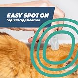 Naqua Flea Solves Cat Spot On 1 Pipette Over 1kg 8 Weeks+ view 5