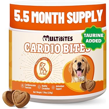 l-carnitine dog supplement L Carnitine For Dogs