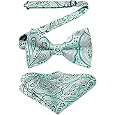 HISDERN Bow Ties for Men Paisley Floral Pre-tied Bowtie Pocket Square Set Men's Formal Bow Ties Wedding Party