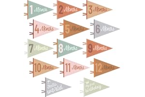 JUSTFORJOYFUL 14PCS Felt Baby Monthly Milestone Banners Milestone Signs Pennant Flags Triangle Banner Age Flag Signs Newborn Photos Prop Supplies for Boy Girl First Year Birthday Baby Shower Decor Assorted Color
