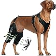 LISPOO Dog Knee Brace for Torn Acl Hind Leg, Luxating Patella, Cruciate Ligament, Dog Acl Knee Brace Support Back Leg with Arthritis Pain, Acl Brace for Dogs Rear Leg (L)