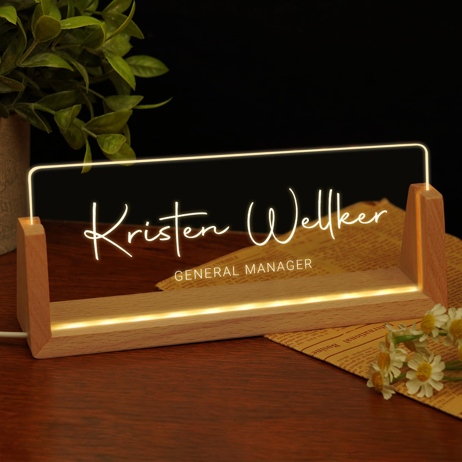 Custom Name Plate for Desk, Personalized Light Up