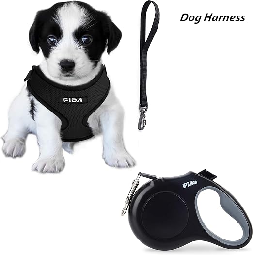 cat age conversion chart