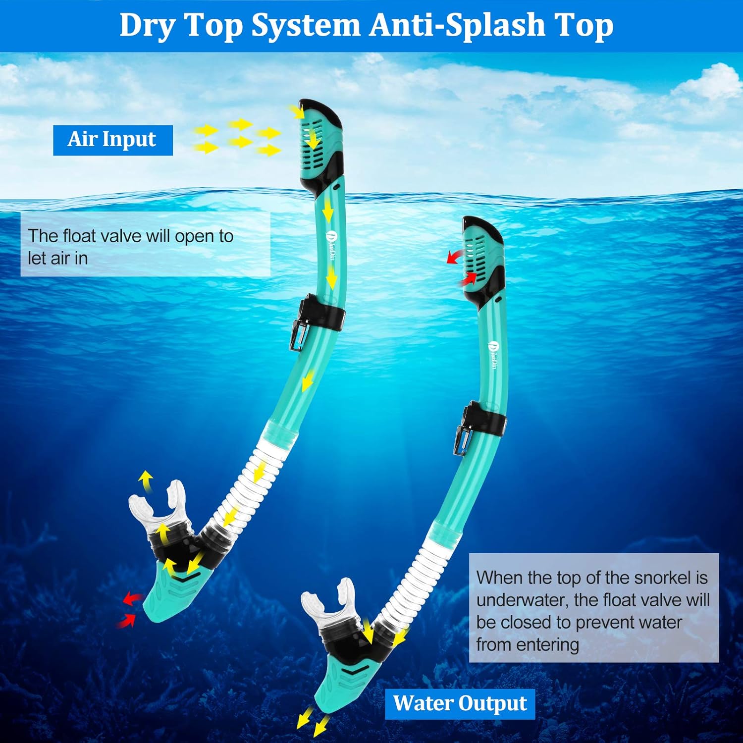 JARDIN Dry Top Snorkel Set, Panoramic Wide View Snorkel Mask, Anti-Fog Tempered Glass Diving Mask, Free Breathing& Easy Adjustable Strap Scuba Mask, Professional Snorkeling Gear for Adults (Teal) : Sports & Outdoors