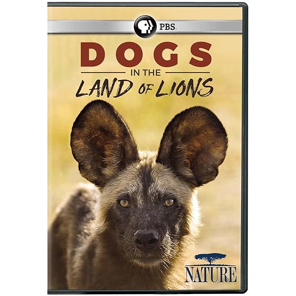 Amazon.com: NATURE: The Mighty Weasel : n/a, Hannah Ward